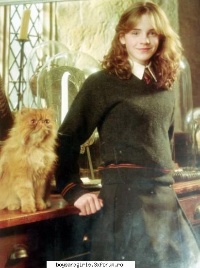hermione granger - Sandulcika - Hermione Granger/Emma Watson